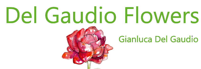 Del Gaudio Flowers Gianluca