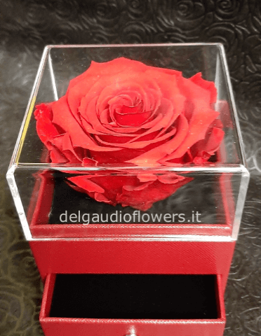 rosa stabilizzata