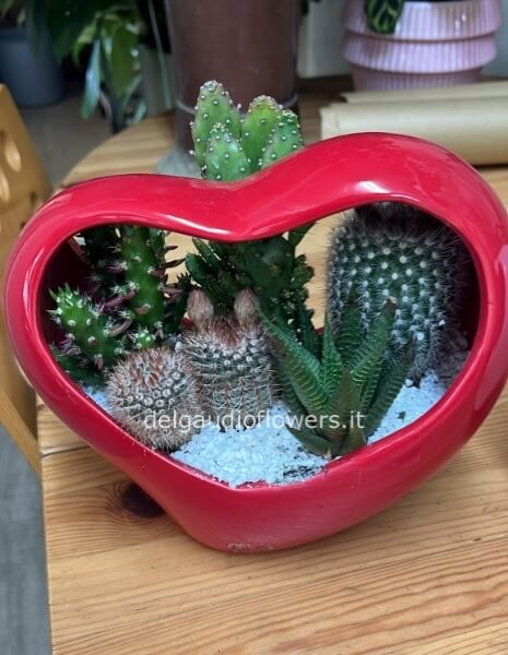 Cuore grande ceramica con piante grasse