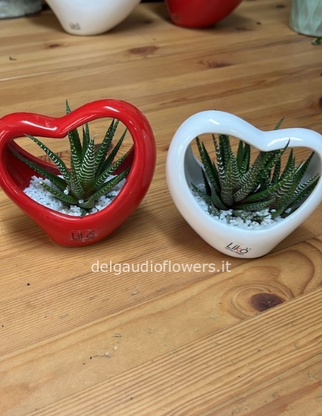 Cuore piccolo ceramica con piante grasse