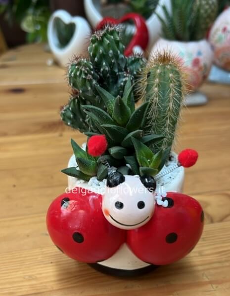 Coccinella ceramica con piante grasse