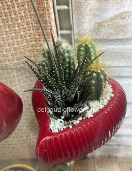 Cuore ceramica con piante grasse