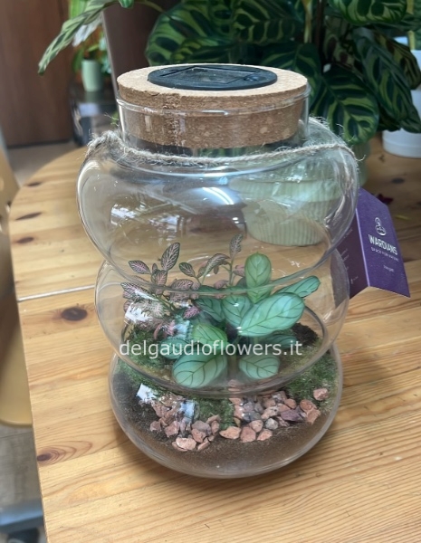Terrarium con luce e pannello solare