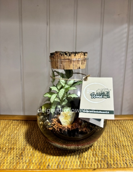 Terrarium fantasia