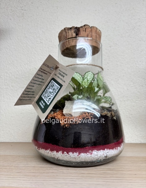 Terrarium passione 