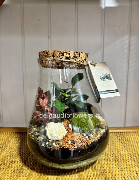 Terrarium Madrid 